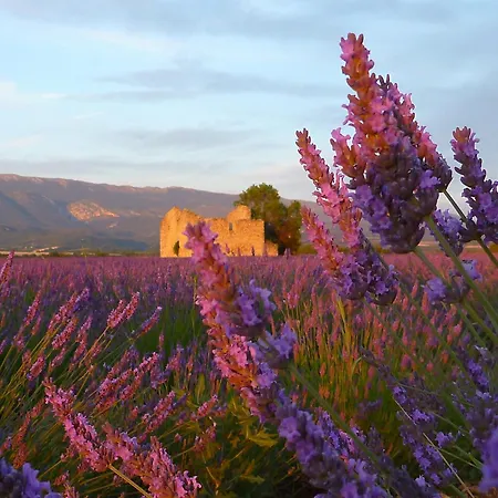 Bulle D'eau Dace Bed & Breakfast