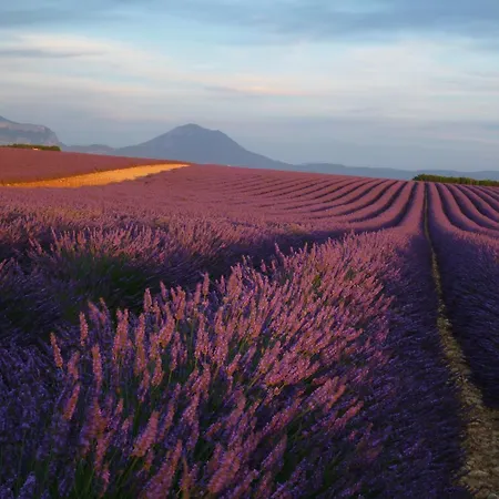 Bulle D'eau Dace Valensole