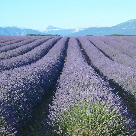 Bulle D'eau Dace Valensole