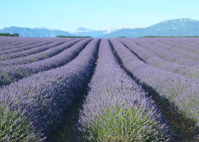 Bulle D'eau Dace Валансоль
